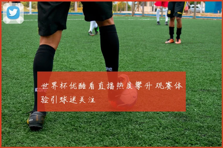 世界杯优酷看直播热度攀升 观赛体验引球迷关注