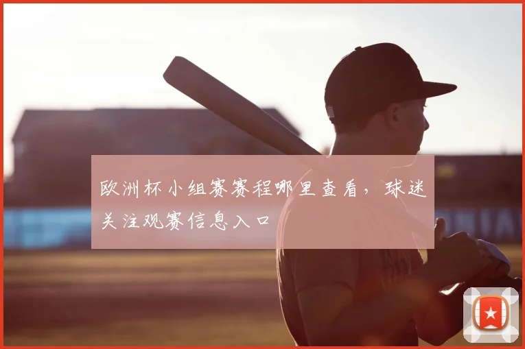 欧洲杯小组赛赛程哪里查看,球迷关注观赛信息入口