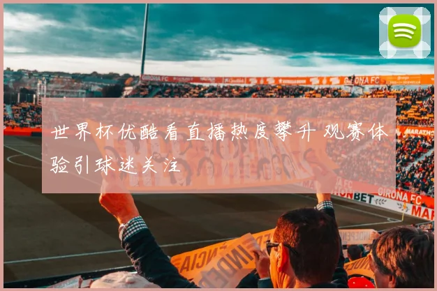 世界杯优酷看直播热度攀升 观赛体验引球迷关注