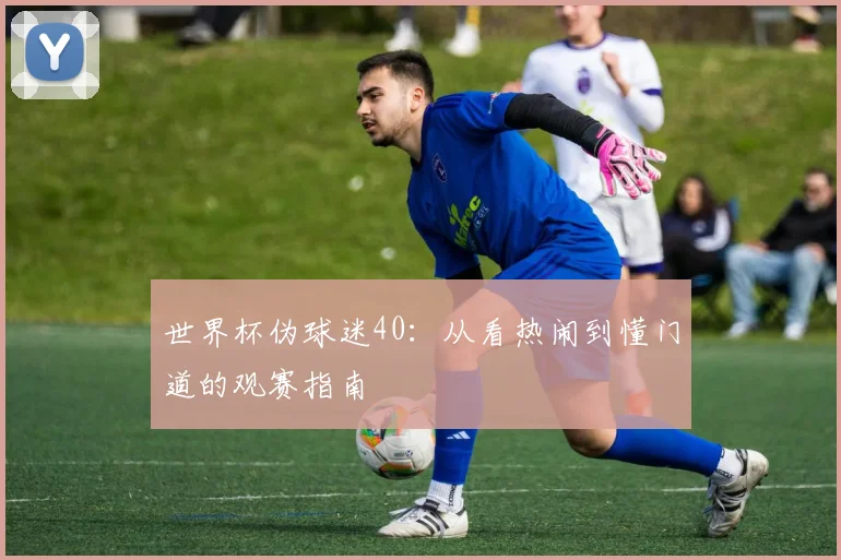 世界杯伪球迷40：从看热闹到懂门道的观赛指南